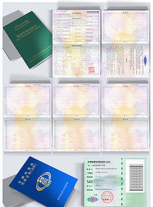 精品AI设计 计算机软件著作权登记证书PSD模板下载